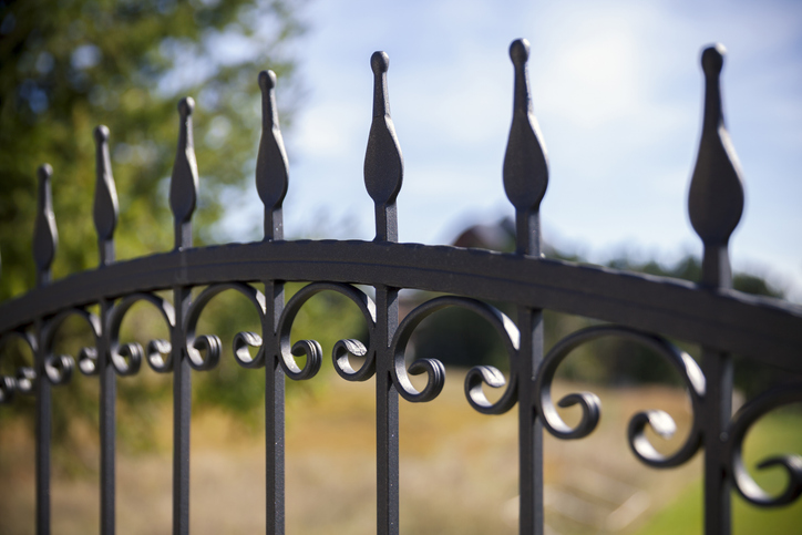 a bird sitting on top of a metal fence