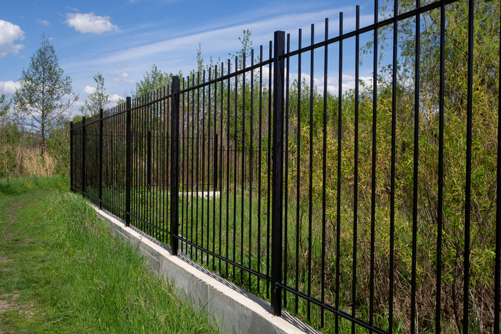 a long green grass next to a fence