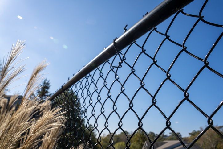 a bird sitting on a wire fence